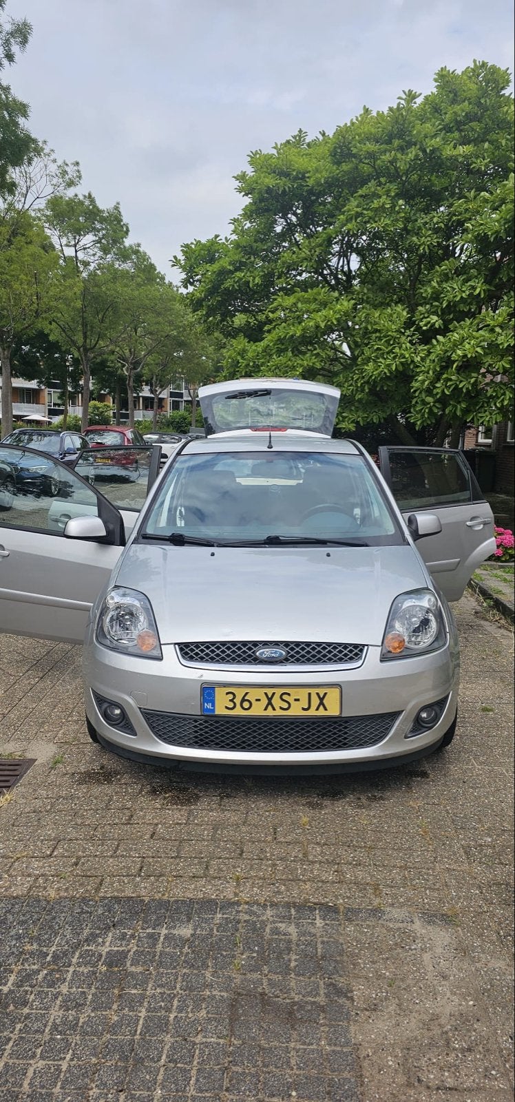 Ford Fiësta 1.3 8V 5DR 2007 Grijs, 1299 cc, 40 €/maand, 4 cilinders, Origineel Nederlands