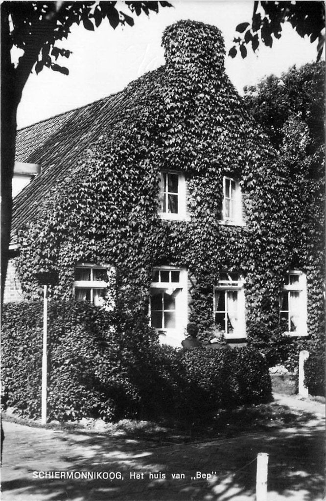 379-197-001 Schiermonnikoog, Verzenden, Voor 1920, Friesland