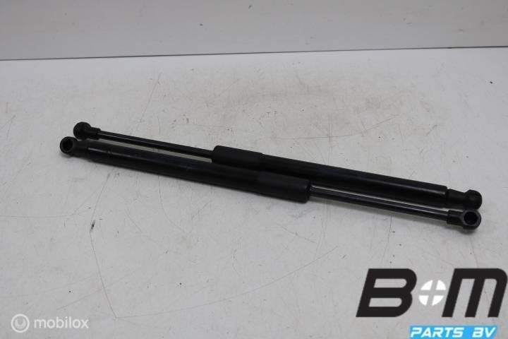 Set gasdrukveren achterklep Audi TT 8S 8S7827552A