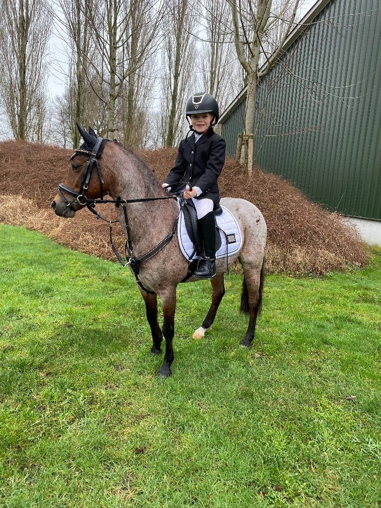 Te koop: een eerlijke en betrouwbare B Welsh pony, Dieren en Toebehoren, Pony's, M, B pony (1.17m tot 1.27m), 11 jaar of ouder