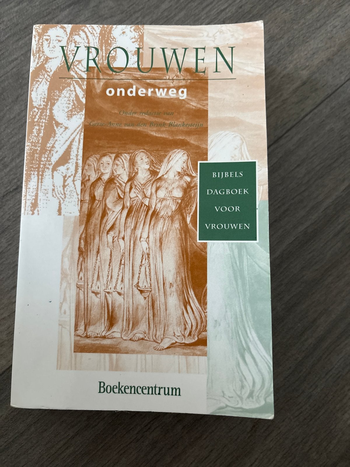 Vrouwen Onderweg - Bijbels Dagboek voor Vrouwen, Boeken, Godsdienst en Theologie, Ophalen of Verzenden, Gelezen, Christendom | Protestants