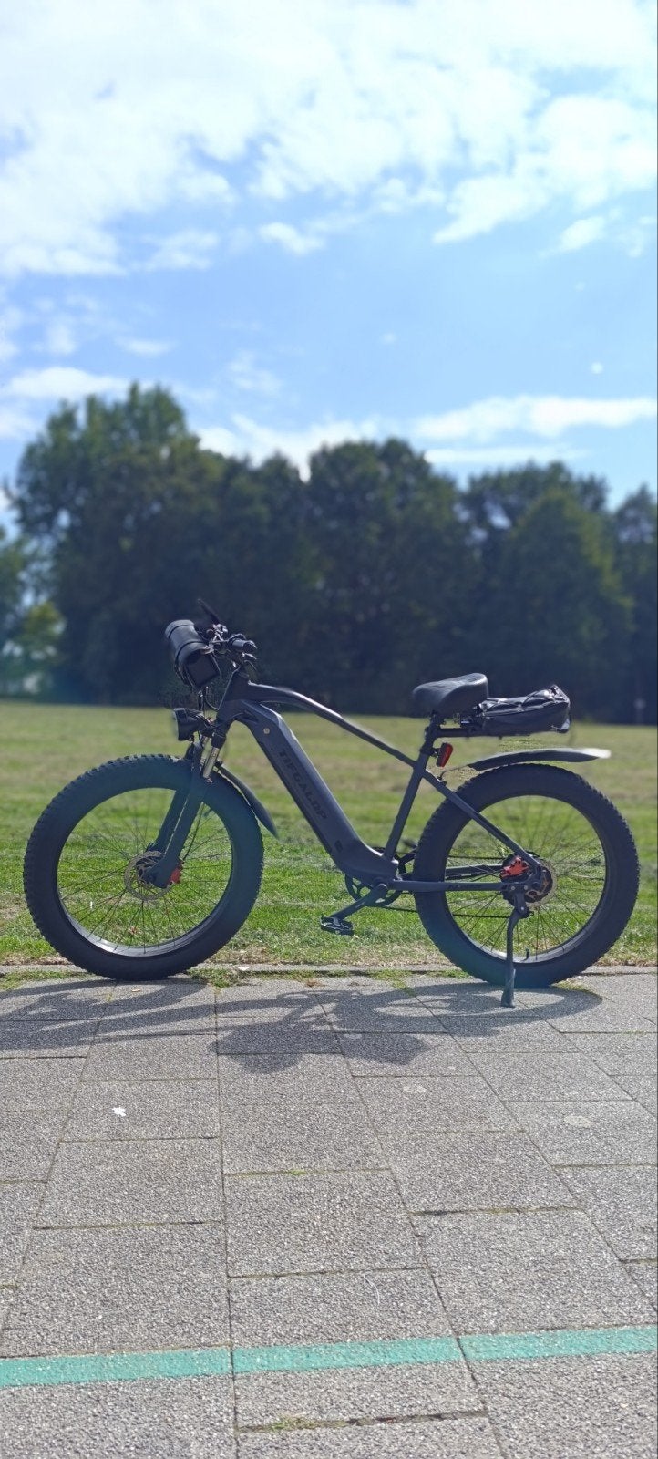 Mtb ebike. Fatbike , mountainbike 26x4 banden Nekbreker!, Ophalen of Verzenden, Overige merken