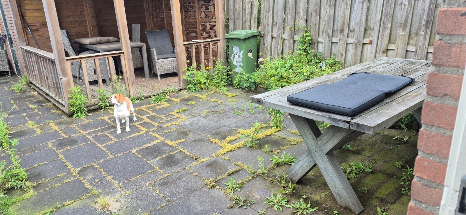 Wie kan mijn tuin onkruid vrij maken, Ophalen of Verzenden