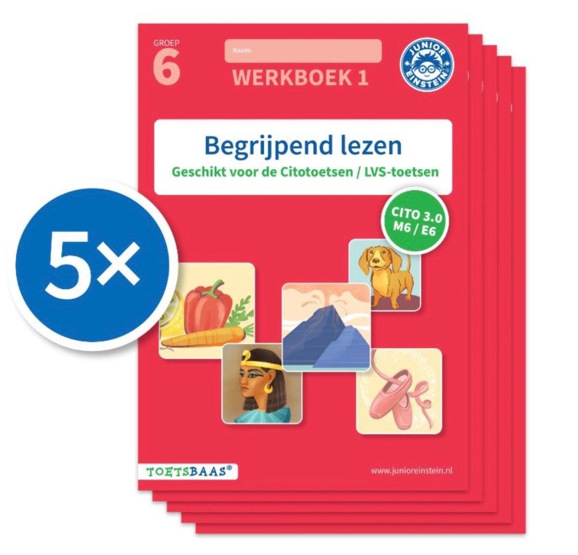 Junior Einstein Begrijpend Lezen Groep 6 werkboek 2, Boeken, Schoolboeken, Ophalen, Nieuw, Overige niveaus, Nederlands