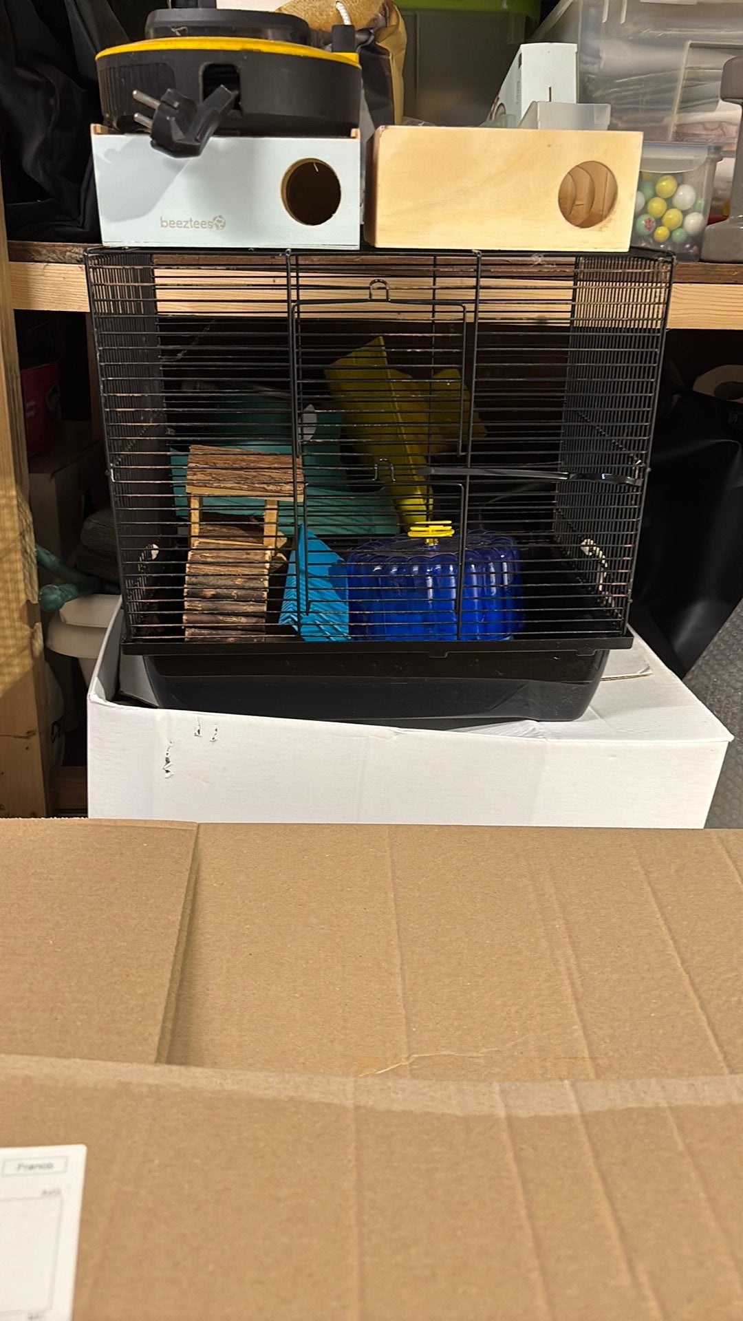 Hamsterkooi en toebehoren uniek, Minder dan 60 cm, Kooi, Minder dan 75 cm, Ophalen of Verzenden