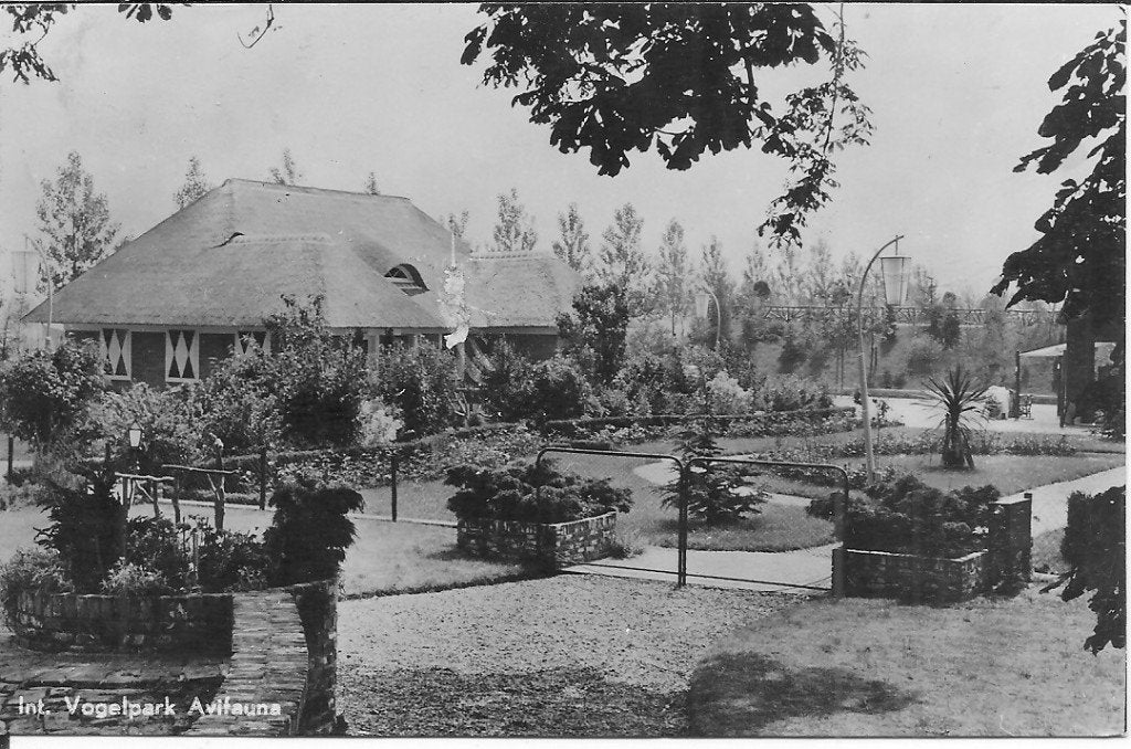 Ansichtkaart Avifauna Alphen aan den Rijn 1950, Verzamelen, Ansichtkaarten | Nederland, Ophalen of Verzenden, 1940 tot 1960, Gelopen