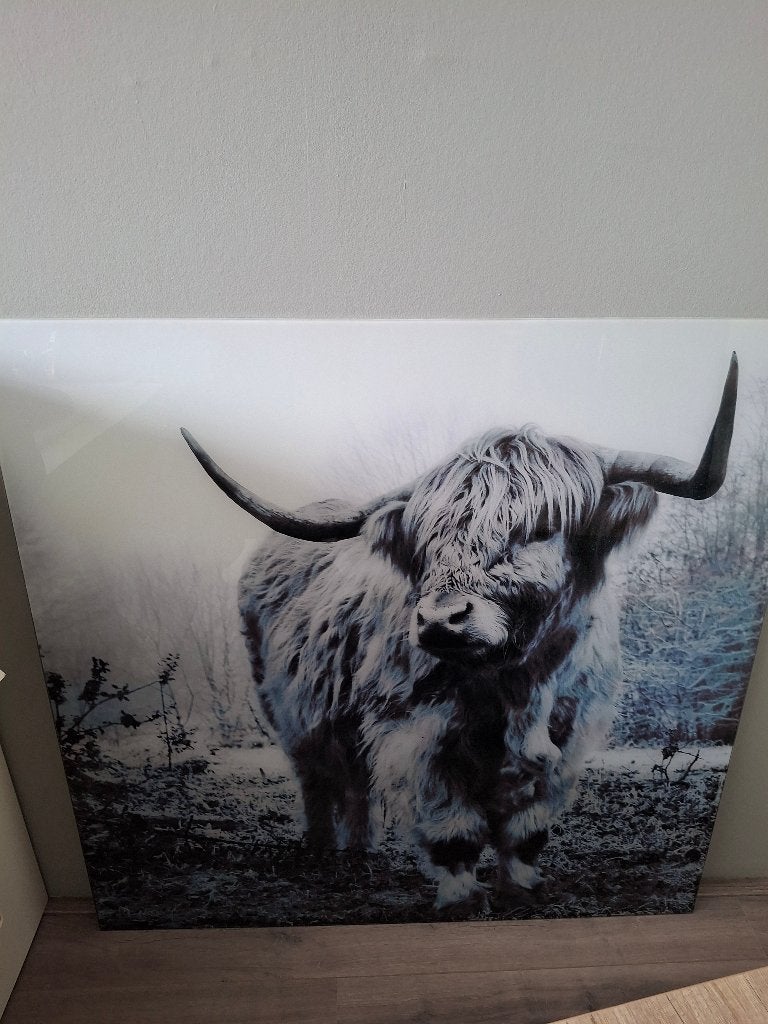 Glas schilderij, Ophalen, Zo goed als nieuw, Schilderij, 75 tot 100 cm
