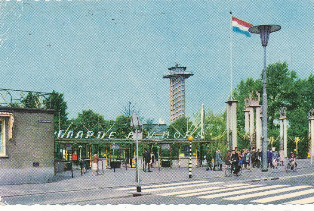 9831 Rotterdam, Diergaarde Blijdor, Ophalen of Verzenden, 1940 tot 1960, Zuid-Holland