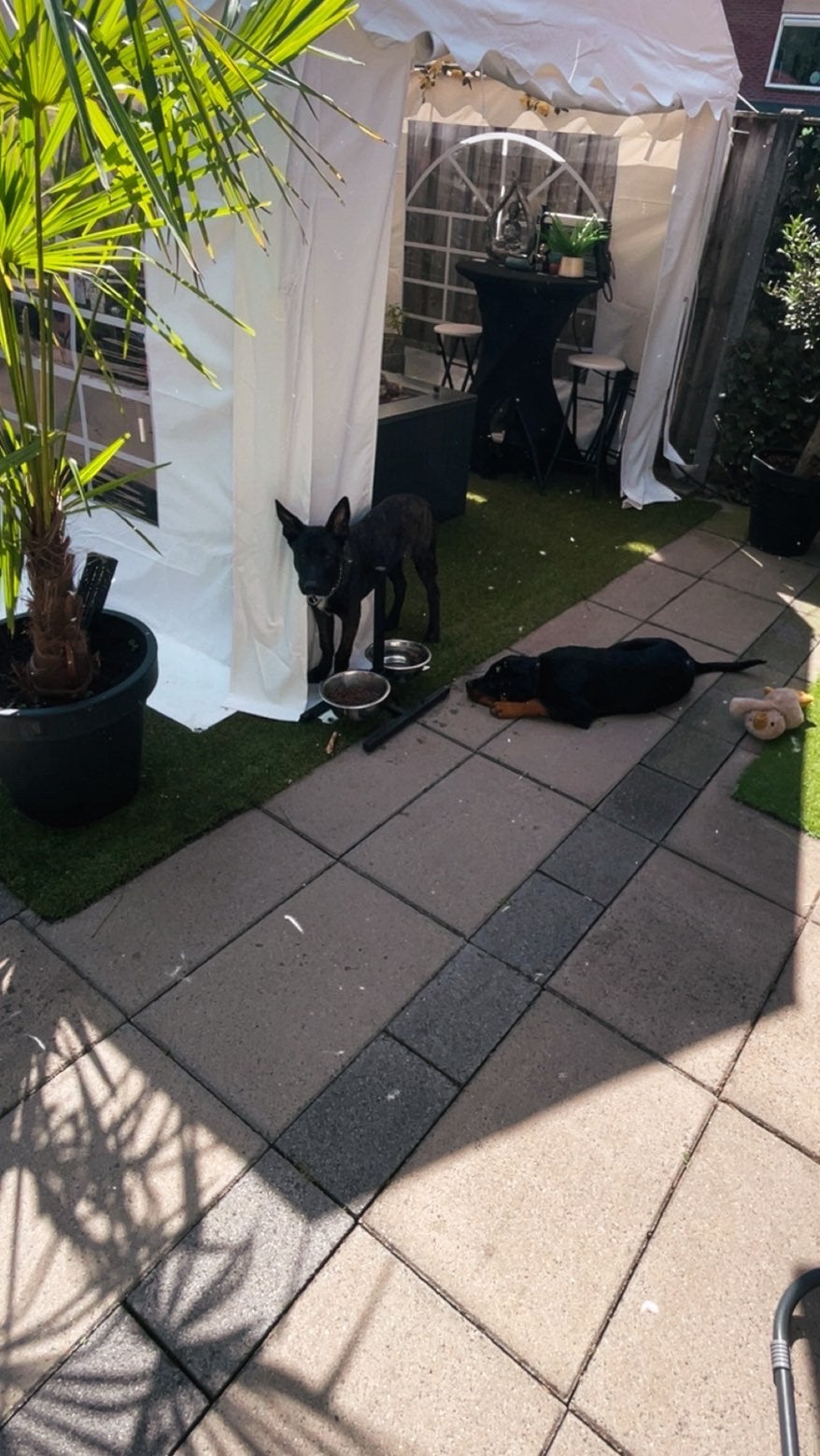 Herder, Ophalen of Verzenden, Zo goed als nieuw, Beton, Terrastegels