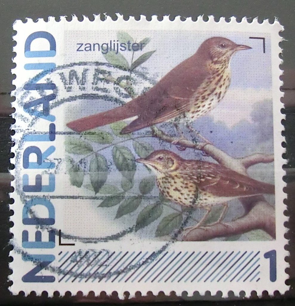 persoonlijke postzegel, Vogels, gest (lees aub), Ophalen of Verzenden, Na 1940, Gestempeld