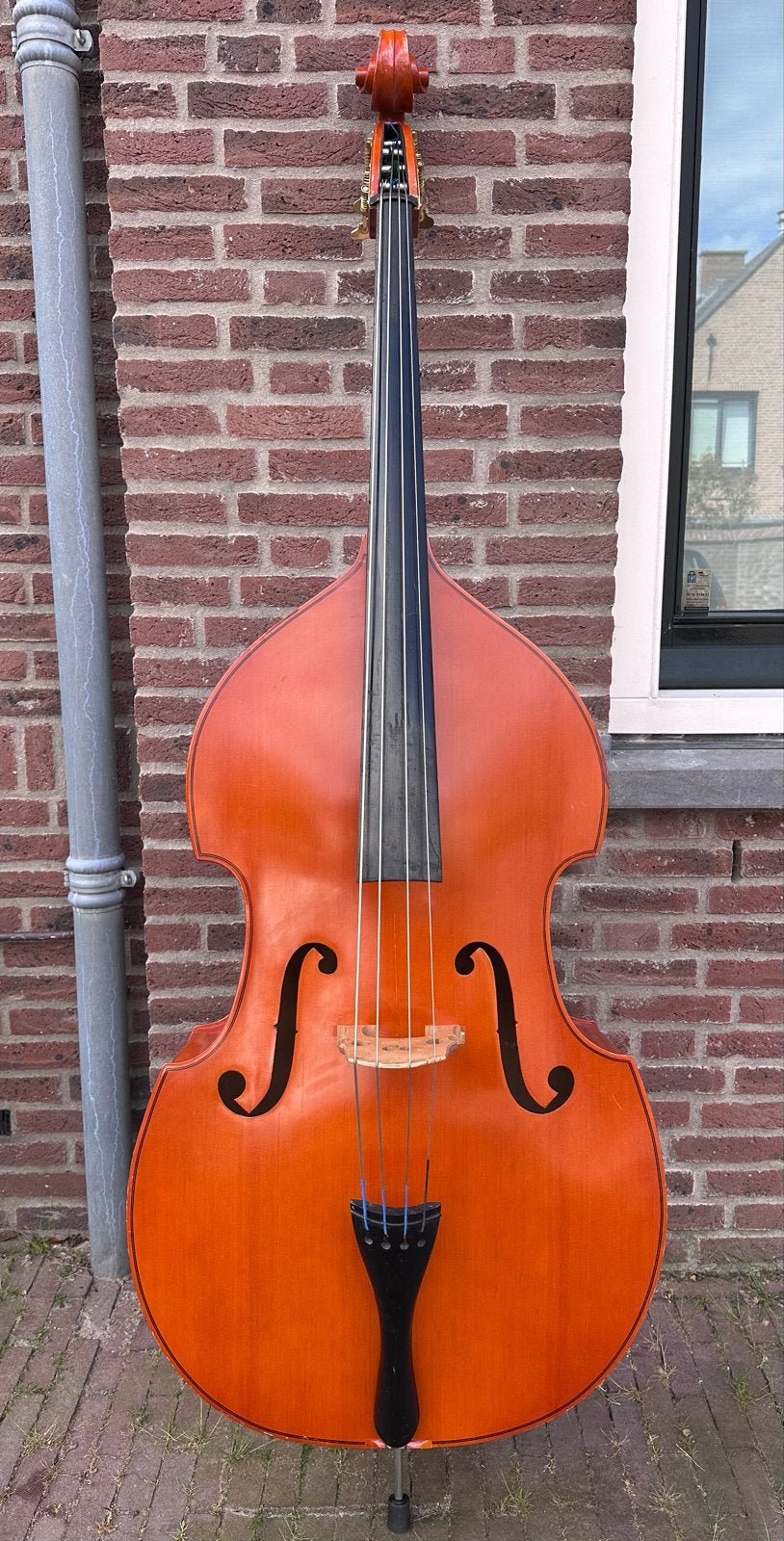 Prima contrabas, Muziek en Instrumenten, Strijkinstrumenten | Overige, Ophalen of Verzenden, Gebruikt