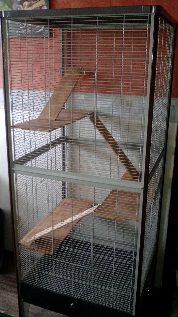 Kooi., Dieren en Toebehoren, Ophalen, Kooi, Eekhoorn, 60 tot 90 cm