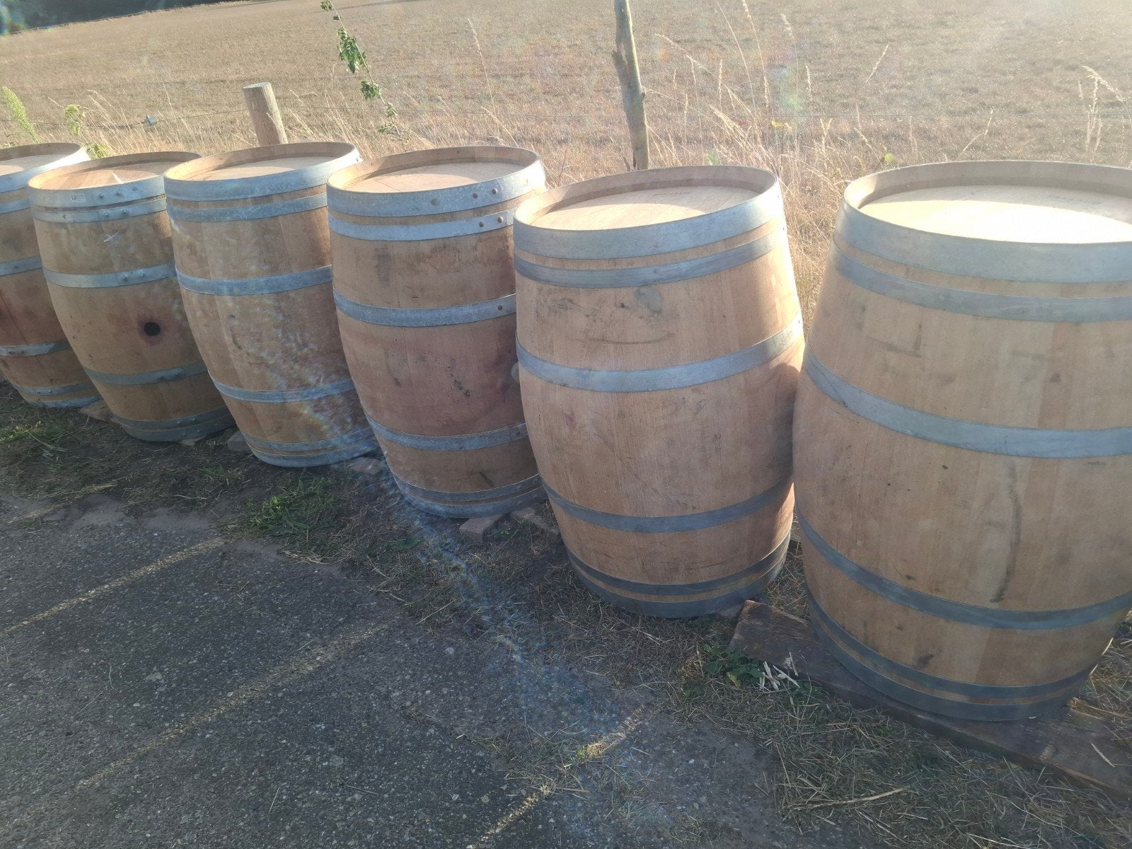 Wijn- en whiskeyvaten als regentonnen, 150 liter of meer, Ophalen, Gebruikt, Hout