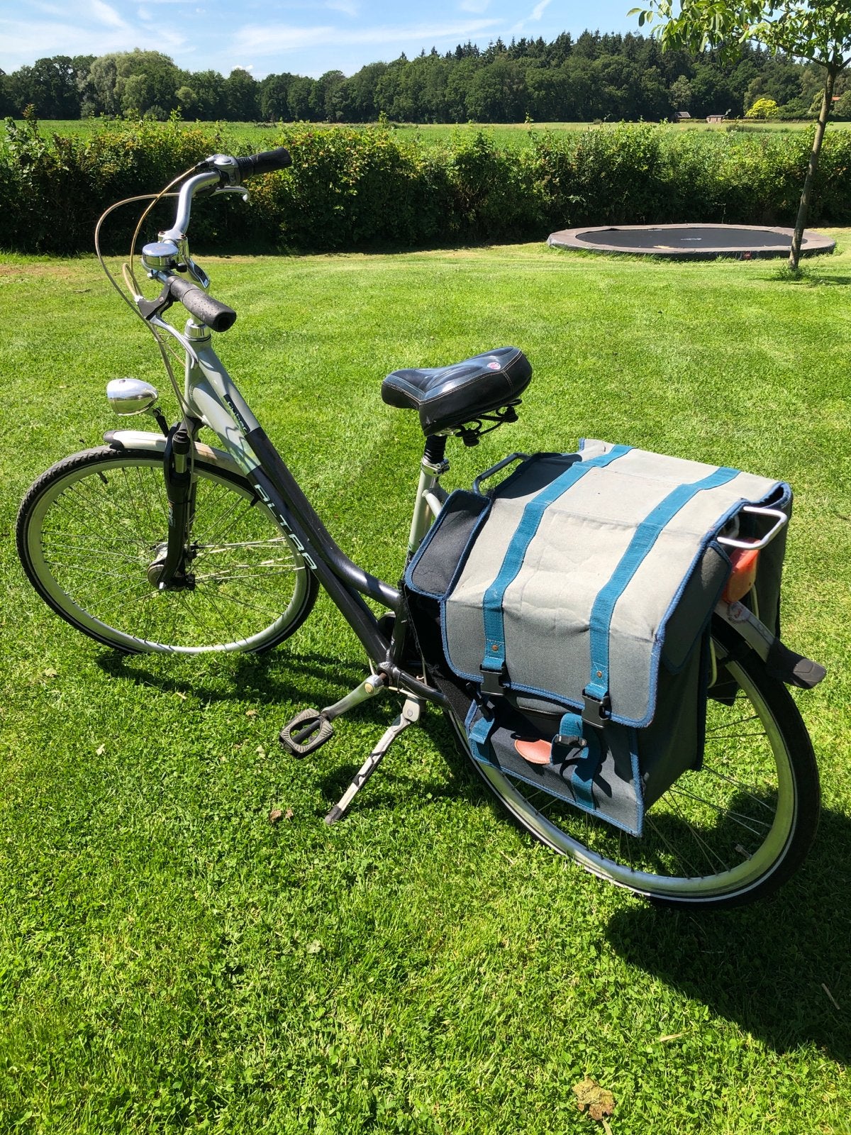 Altra Damesfiets met lage instap en fietstassen, Velgrem, 50 tot 53 cm, Ophalen, Overige merken
