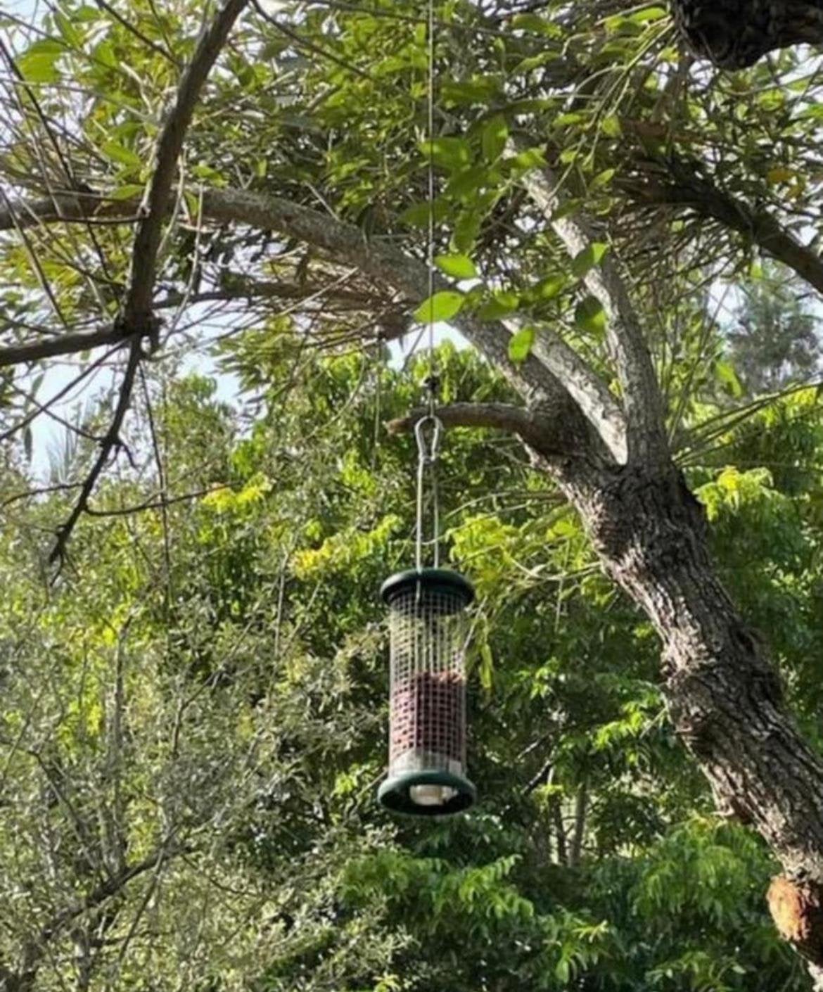 Diverse tuinaccessoires vogels dieren schalen Oud Kwaliteit, Ophalen of Verzenden, Gebruikt, Overige materialen, Overige typen
