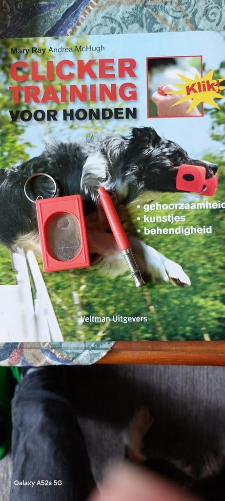 Mary Ray - Clickertraining voor honden, Mary Ray; Andrea MacHugh, Honden, Ophalen of Verzenden, Zo goed als nieuw
