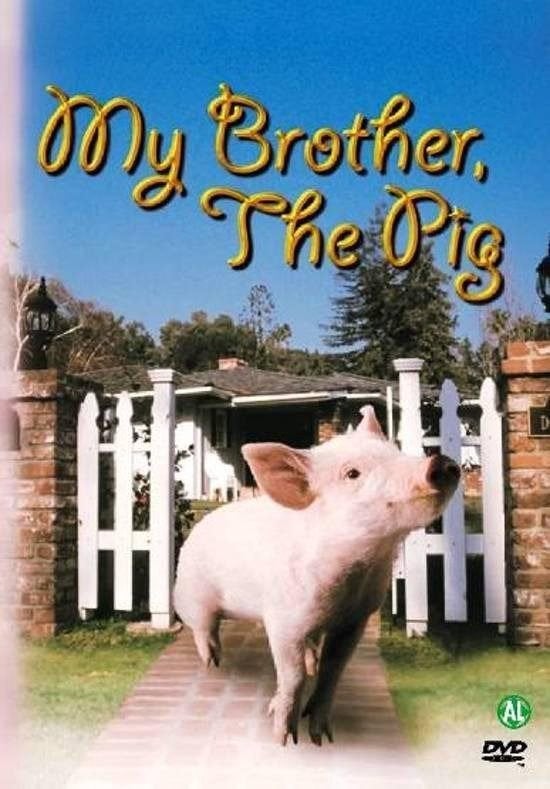 Speelfilm - My Brother The Pig DVD, Alle leeftijden, Verzenden, Zo goed als nieuw, Actiekomedie