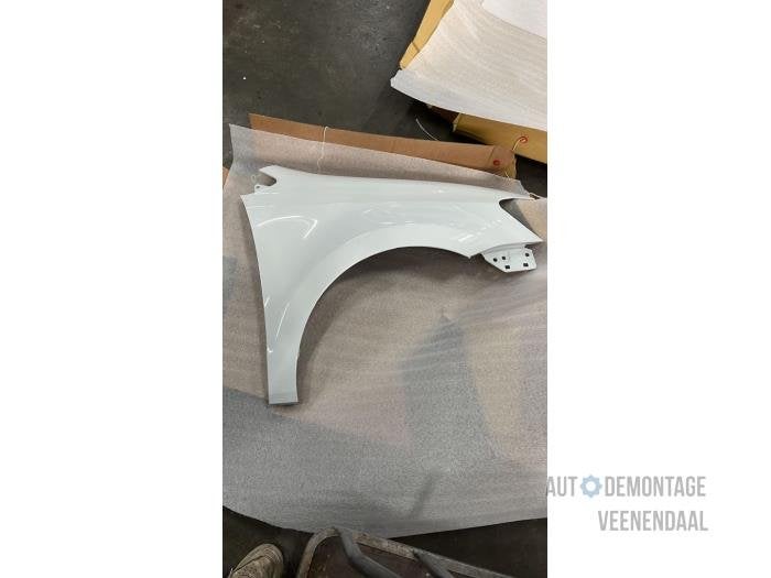 Scherm links-voor van een Volkswagen Polo (LC9A), -, Volkswagen, -, Nieuw