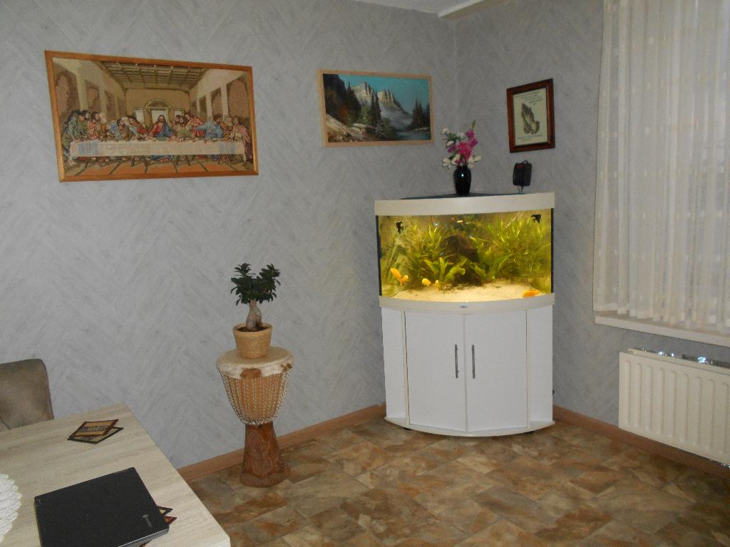 Hoek aquarium, Overige typen, Zoetwatervis