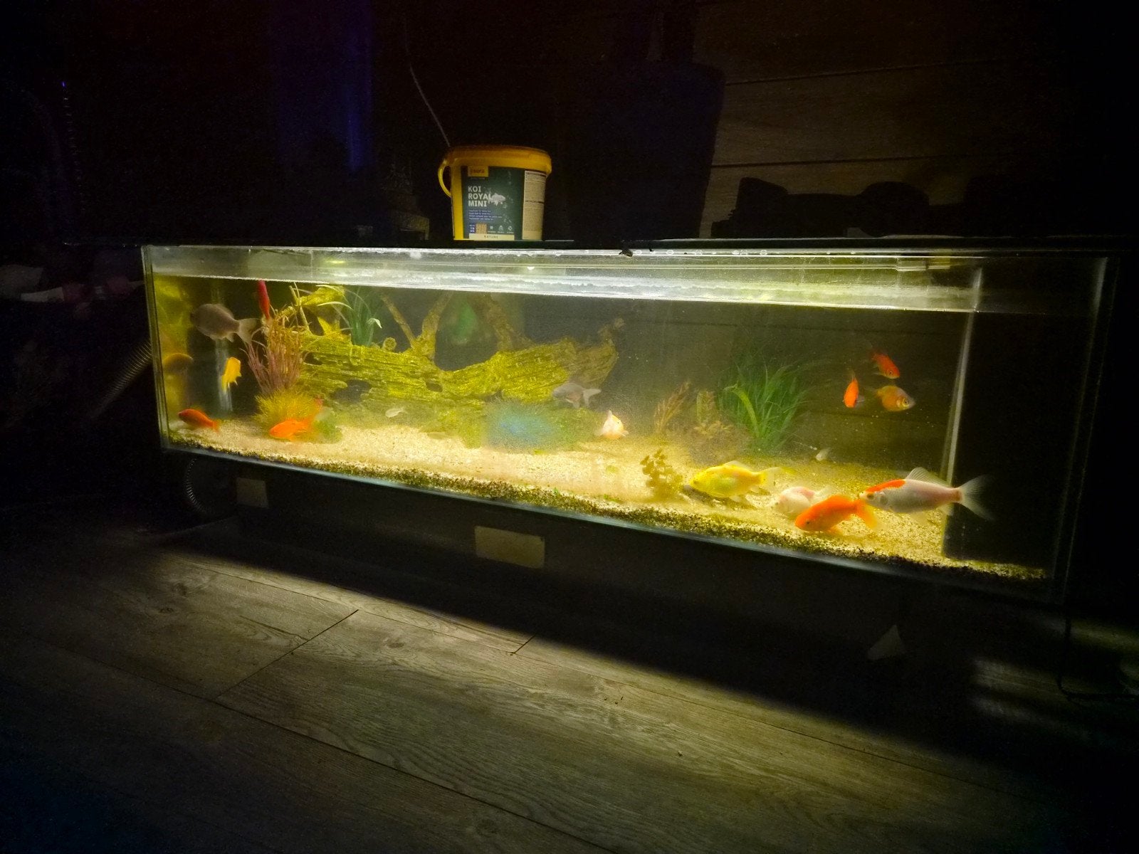Tafel aquarium, Ophalen, Inclusief deksel, Gebruikt, Leeg aquarium