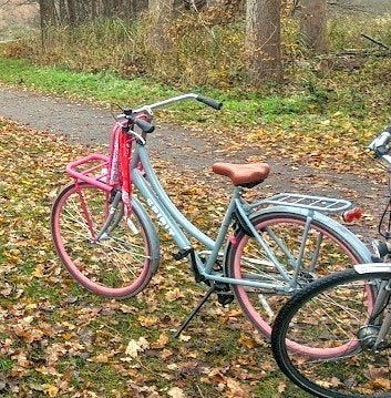 Mooie en betrouwbare Spirit transportfiets (Grijs/roze), Fietsen en Brommers, 26 inch of meer, Terugtraprem, Gebruikt, Versnellingen
