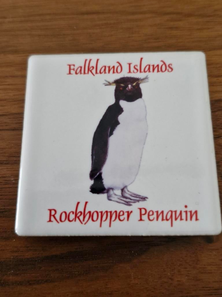 005 Magneet met Rockhopper Pinguïn van Falkland Islands, Ophalen of Verzenden