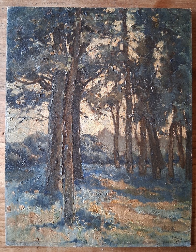 Adrianus Miolée 1879-1961/Bosgezicht Olieverf/paneel 32 x 41, Antiek en Kunst, Kunst | Schilderijen | Klassiek, Impressionistisch