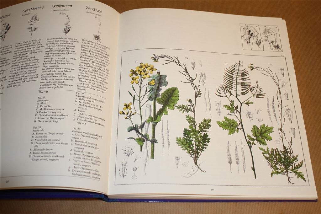 Atlas van de flora van Oudemans. Tekst vernieuwd., Ophalen of Verzenden, Gelezen, Bloemen, Planten en Bomen