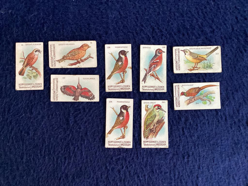 gratis vogelplaatjes van OLDENKOTT’S tabak, Ophalen of Verzenden, Gebruikt, Overige typen