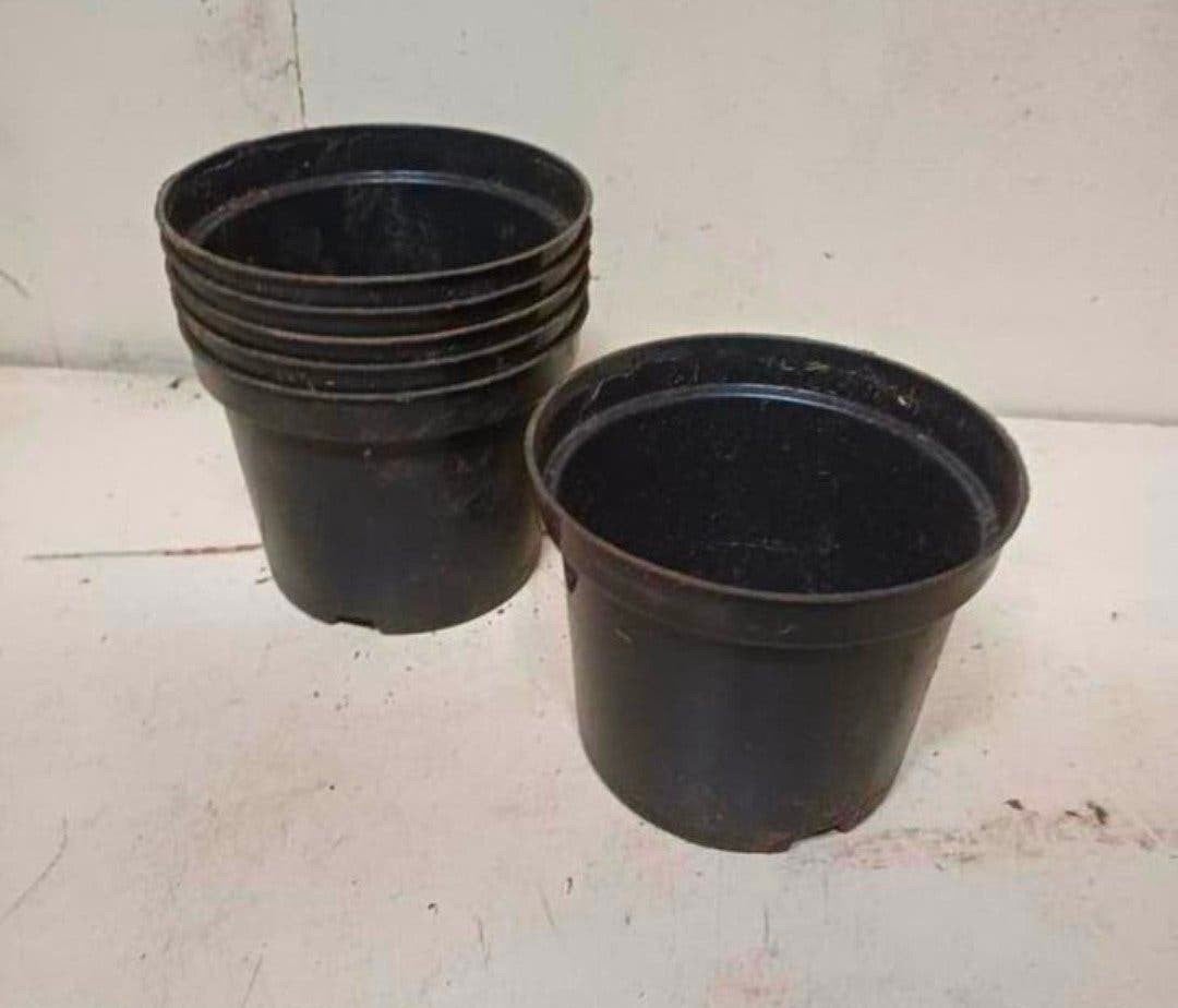 kweekpotten plantenpotten bloempotten 1,5 liter, Tuin en Terras, Kunststof, Gebruikt, Rond, Ophalen of Verzenden