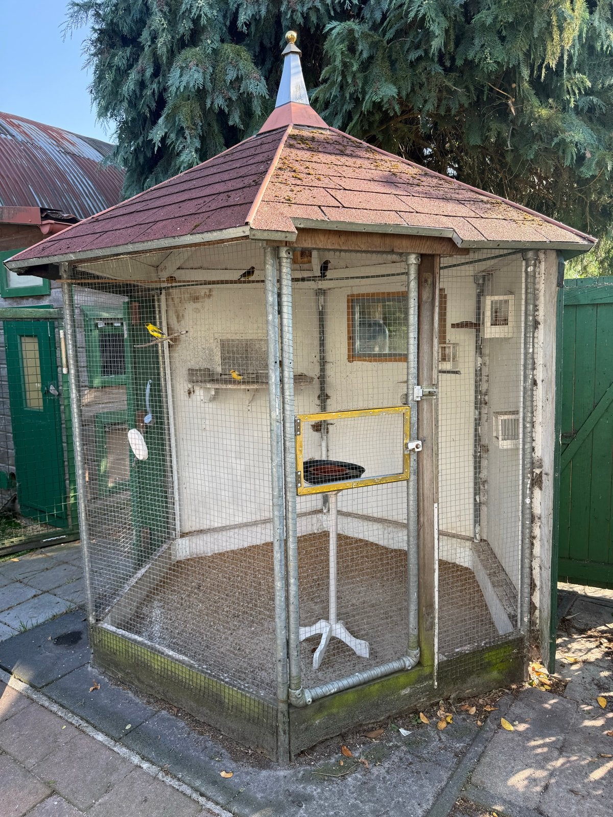 Mooie 6-kant prieel vogelvolière – ca. 4 m² – waterdicht, Ophalen, Hout, Volière