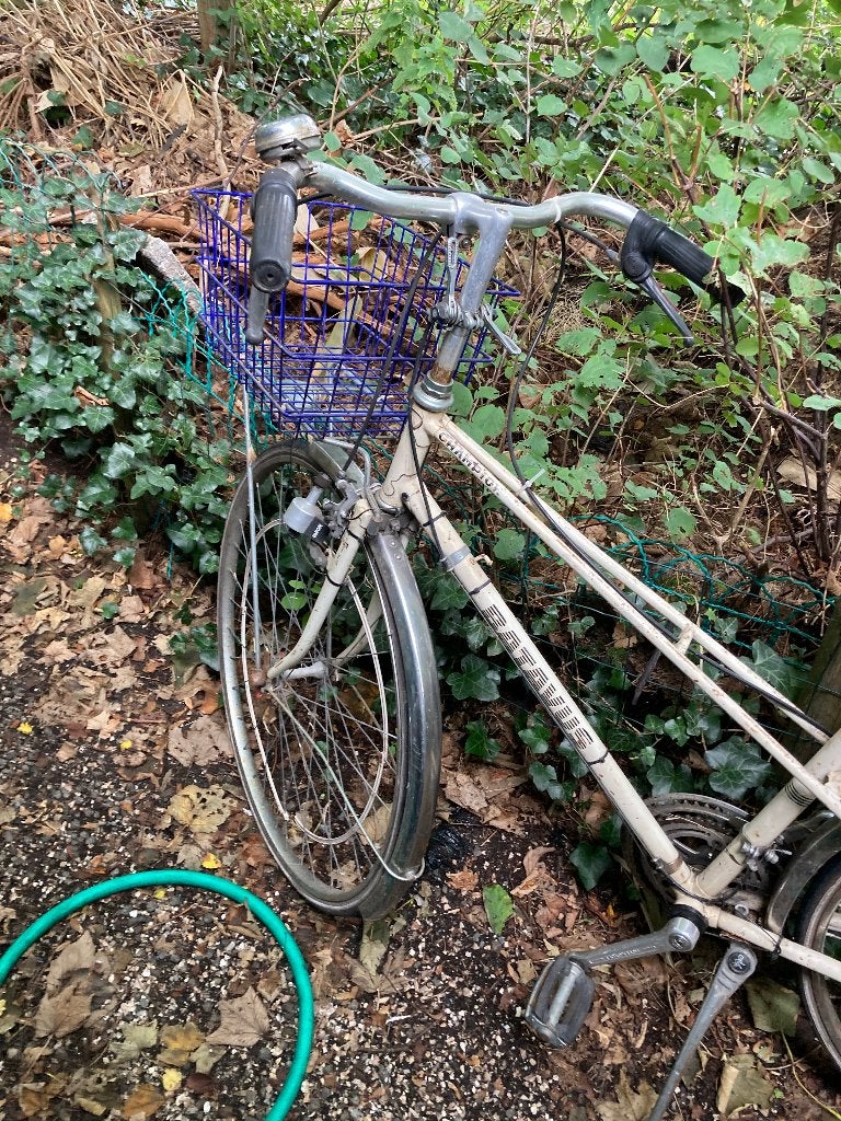 damesfiets batavus heemskerk, Gebruikt, Velgrem, Batavus, Ophalen of Verzenden