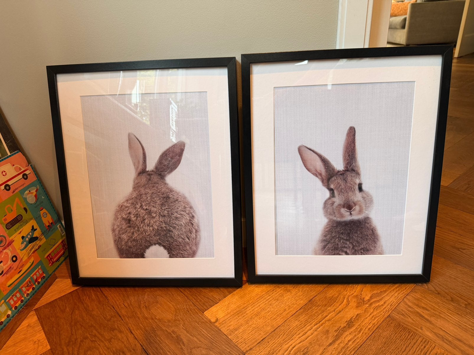 2 leuke platen in grote ikea lijst, Ophalen, 52 cm, 43 cm, Zo goed als nieuw