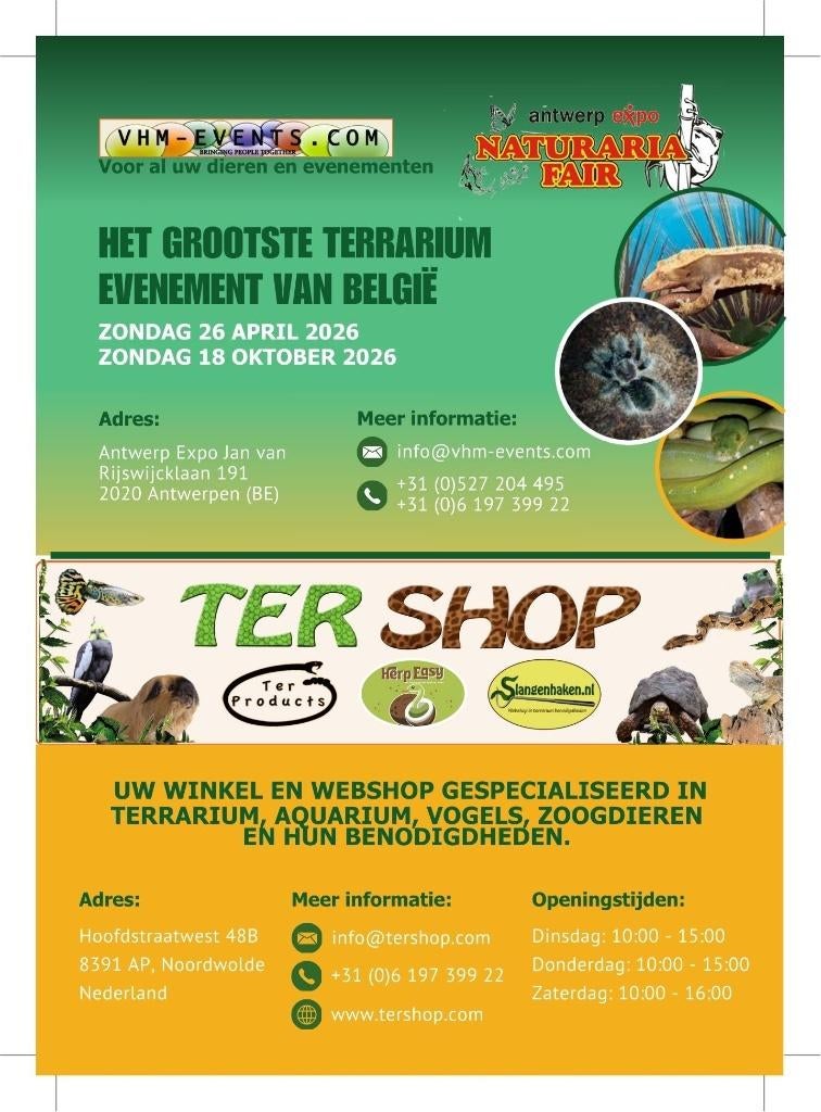 Naturaria Fair Antwerpen 26-04-2026 België grootste, Dieren en Toebehoren, Reptielen en Amfibieën, Amfibie, 0 tot 2 jaar