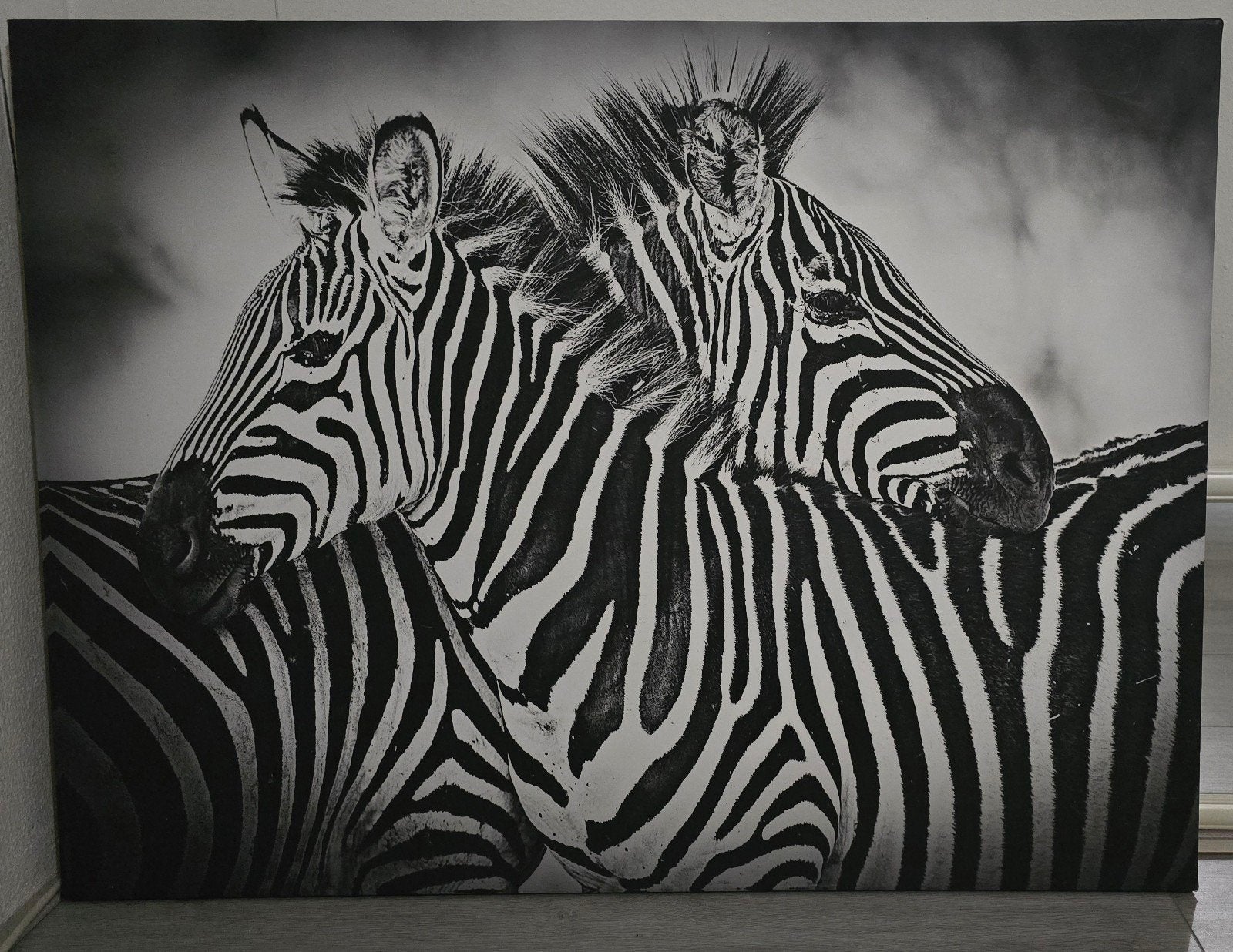Zwart-wit schilderij van twee zebra's, Ophalen, Op houten frame, Dieren, Print