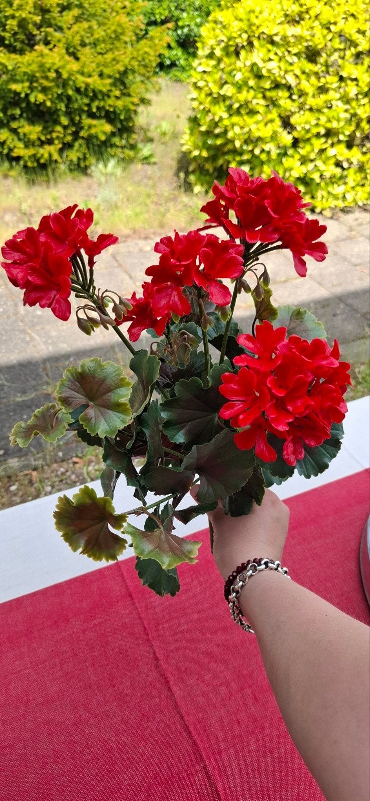 Geranium kunst rood UV bestendig, Ophalen of Verzenden, Nieuw
