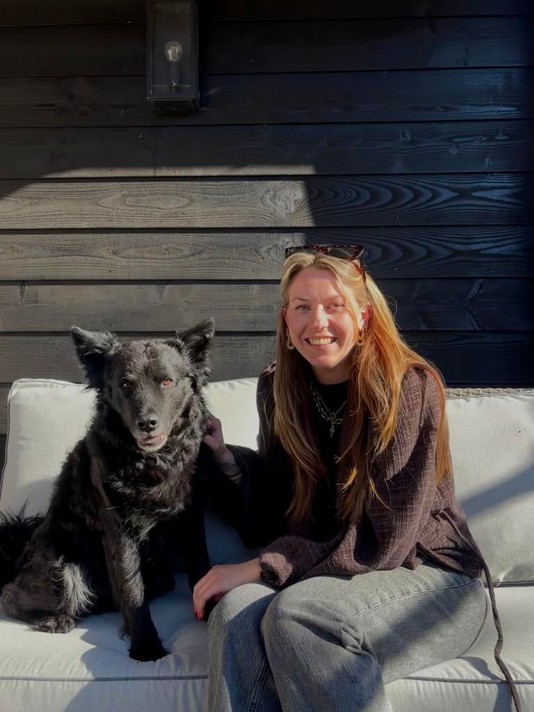 Hondenuitlaatdienst Putten, Dieren en Toebehoren, Ophalen