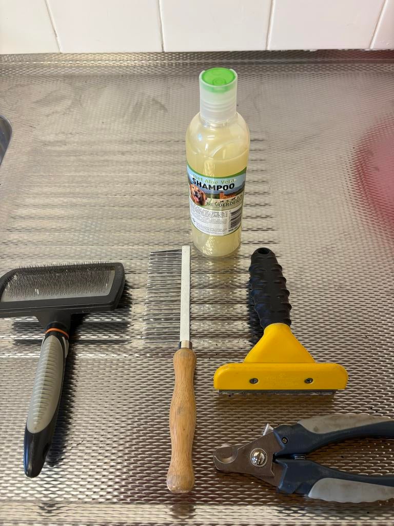 Borstel set inclusief nageltang. Zeer goede staat., Ophalen, Zo goed als nieuw