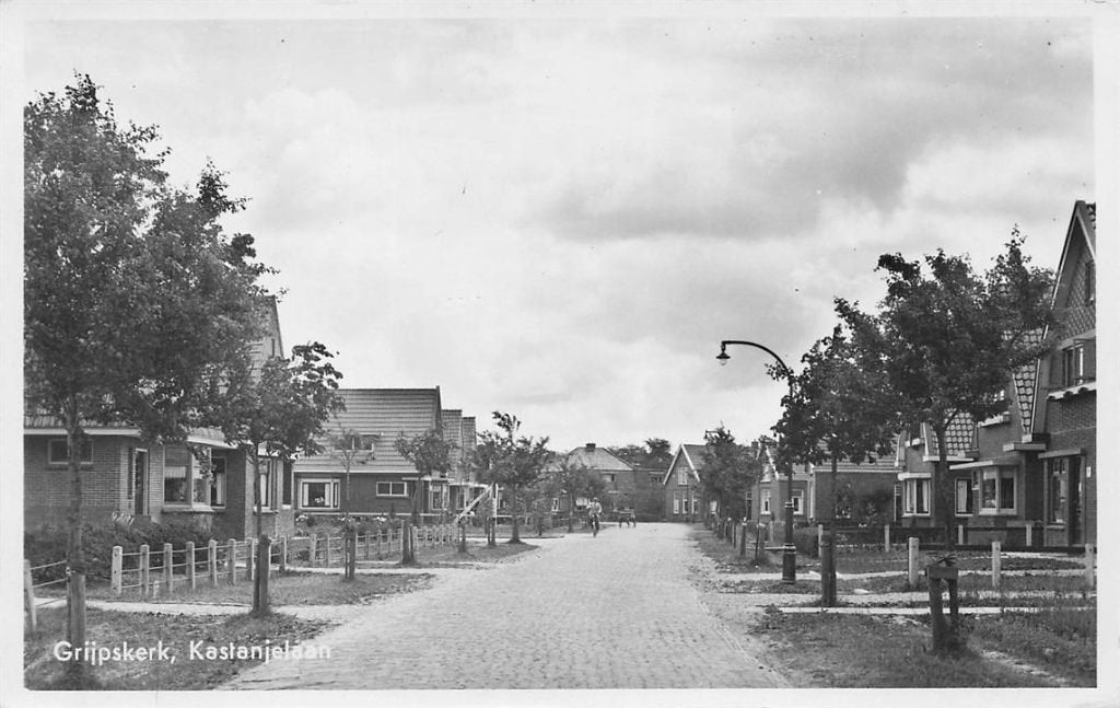 702-390-003 Grijpskerk Kastanjelaan, Verzamelen, Ophalen of Verzenden, Voor 1920, Groningen