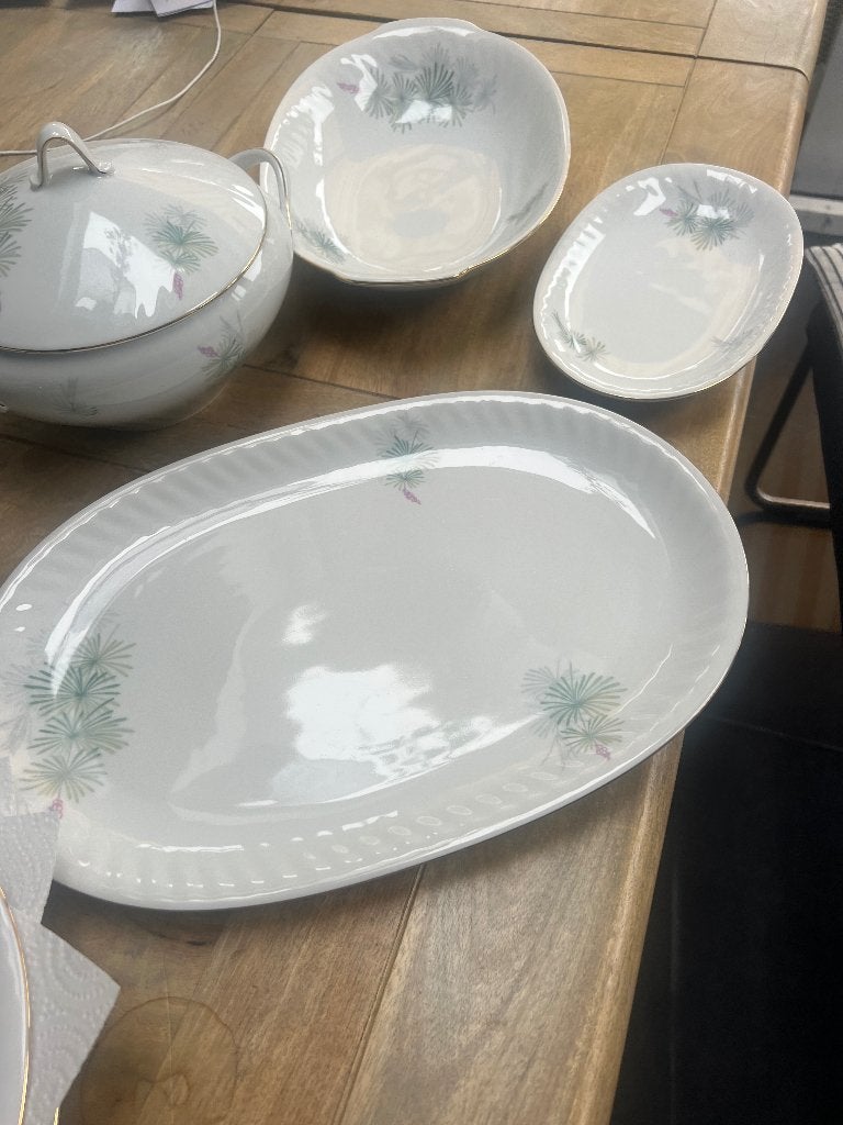 Nieuw mooi servies Arzberg Bavaria borden, dek/serveerschale, Huis en Inrichting, Nieuw, Ophalen of Verzenden, Bord(en), Overige stijlen