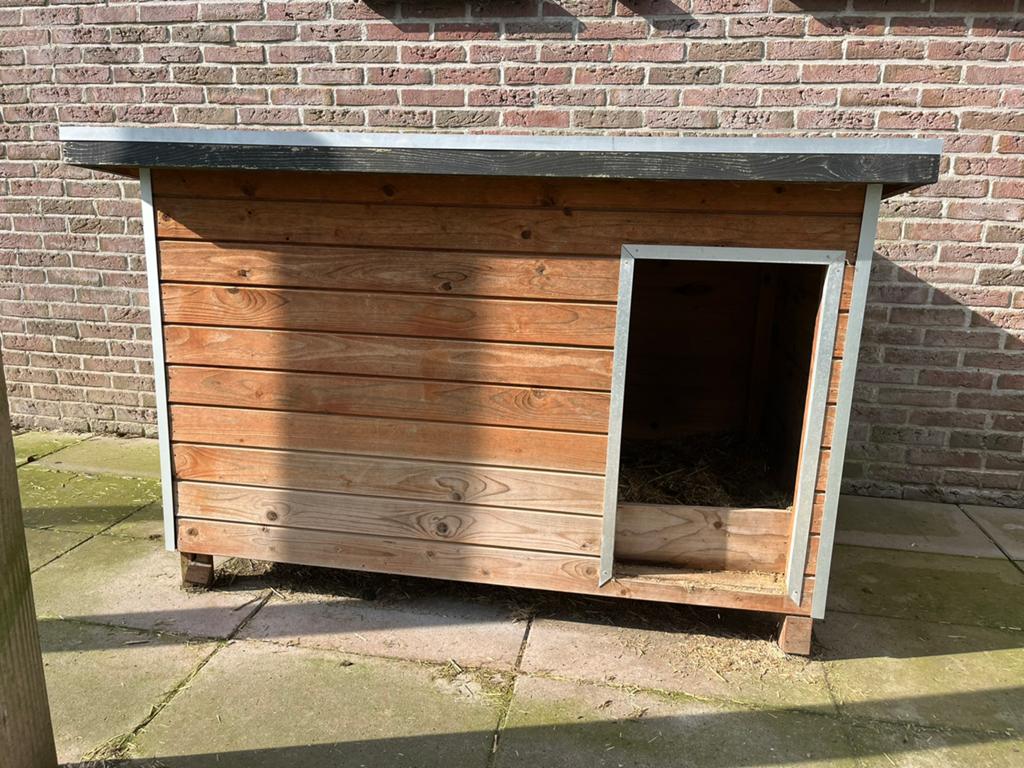Hondenhok buiten, Dieren en Toebehoren, Hondenhokken, Ophalen, 65 tot 100 cm, Hondenhok, 110 cm of meer