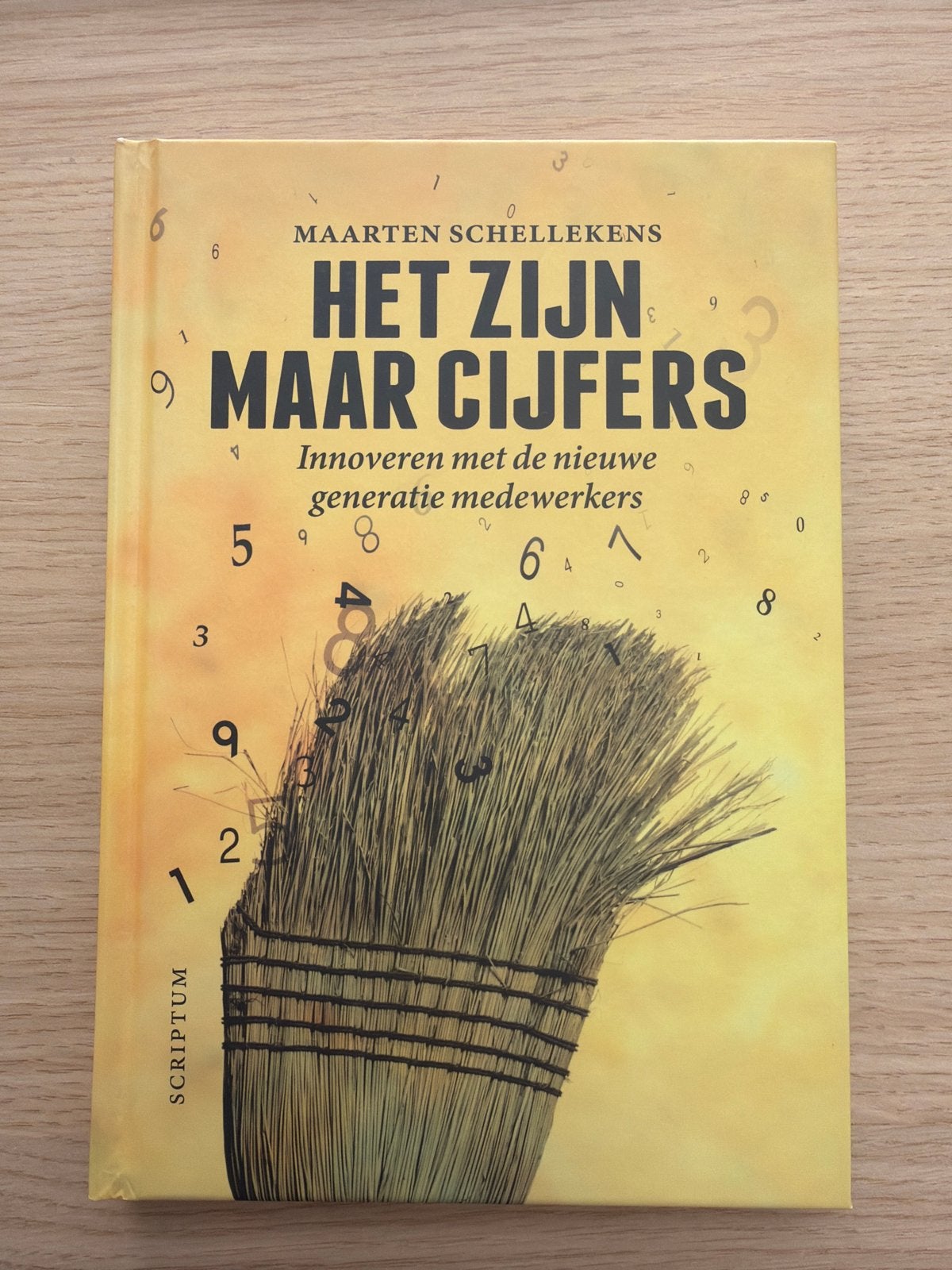 Het Zijn Maar Cijfers - Maarten Schellekens (Als nieuw), Ophalen of Verzenden, Zo goed als nieuw, Management