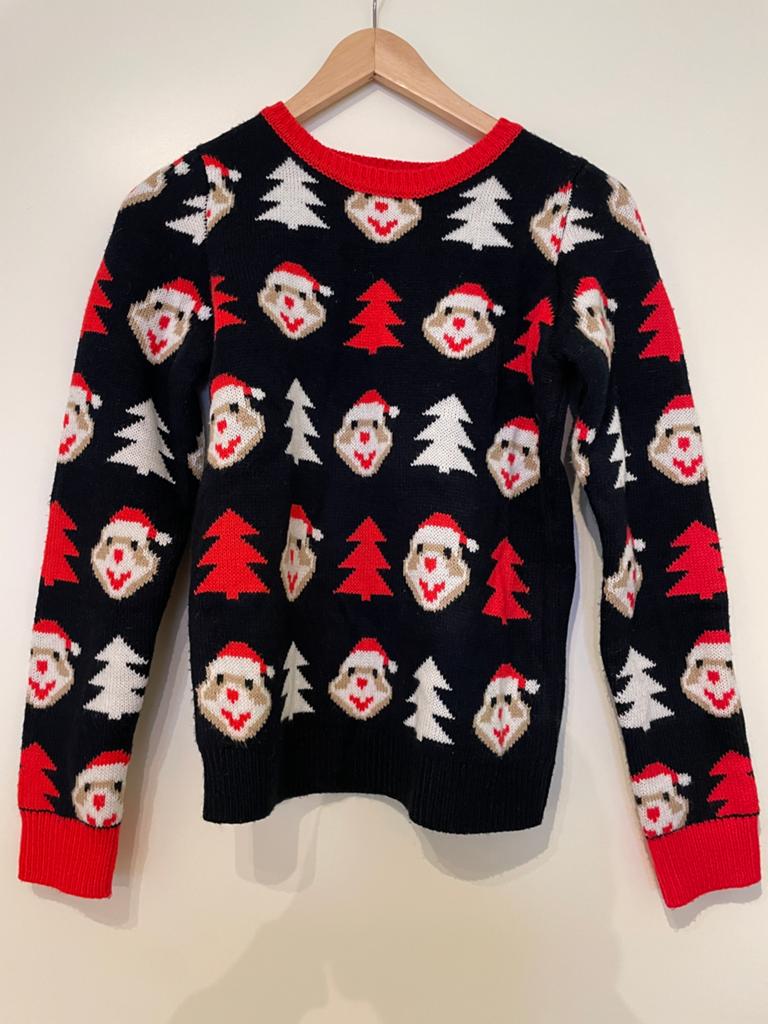 Albert Heijn Hamster Kersttrui - Maat 146/152, Kinderen en Baby's, Ophalen of Verzenden, Gebruikt, Jongen of Meisje, Trui of Vest