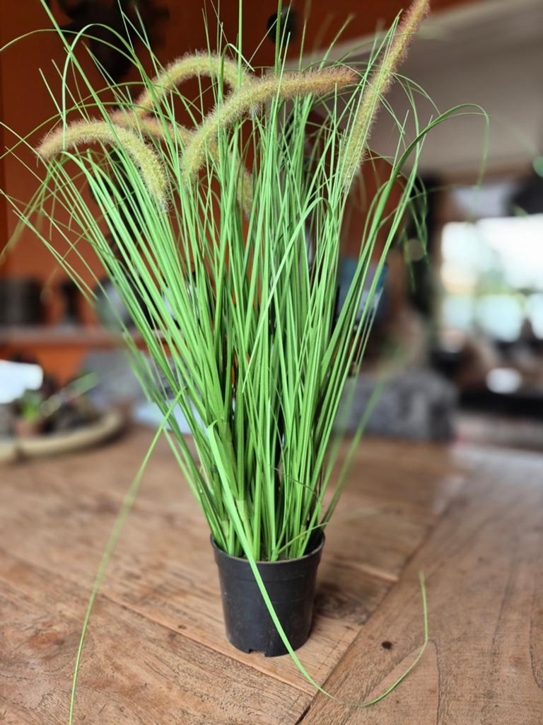 Kunstplant gras, Ophalen of Verzenden, Zo goed als nieuw