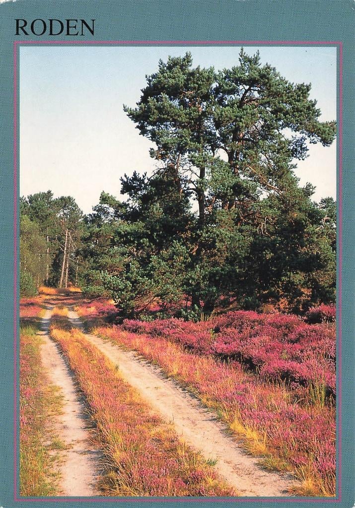 Roden, Heide, Ophalen of Verzenden, 1980 tot heden, Gelopen, Drenthe