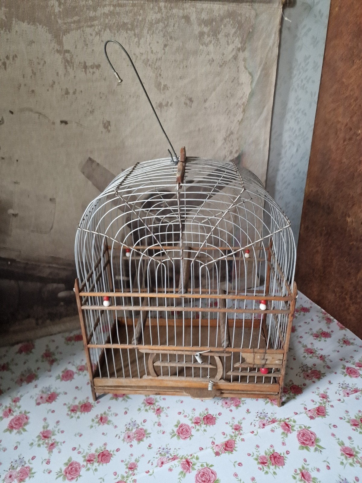 Oud surinaams zangvogel vogelkooitje, Ophalen of Verzenden