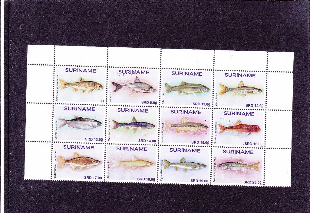 Suriname 2703/14 Vissen 2021 (134), Verzenden, Postfris