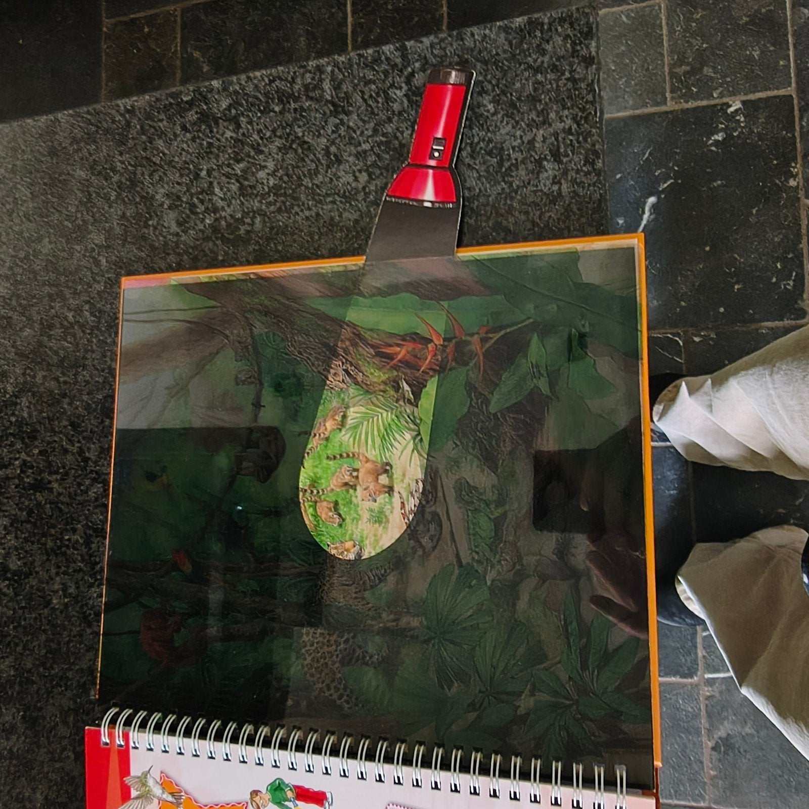 Mijn zaklampboek Wilde Dieren - Interactief kinderboek, Ophalen of Verzenden, Zo goed als nieuw, Onbekend, Non-fictie