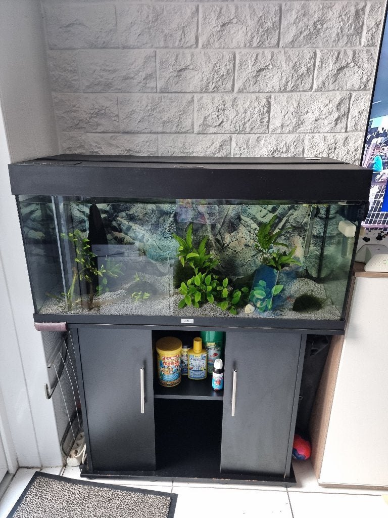 Juwel 200 l aquarium set met toebehoren, Ophalen, Gebruikt, Overige typen, Inclusief deksel