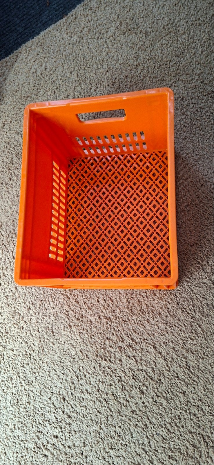 Oranje kunststof krat voor op de fiets, Ophalen of Verzenden, Gebruikt